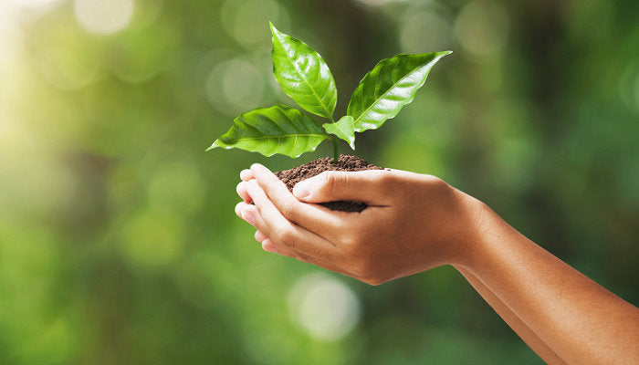 Uhrbänder aus veganen Materialien...